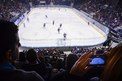 Fans watching a hockey game.