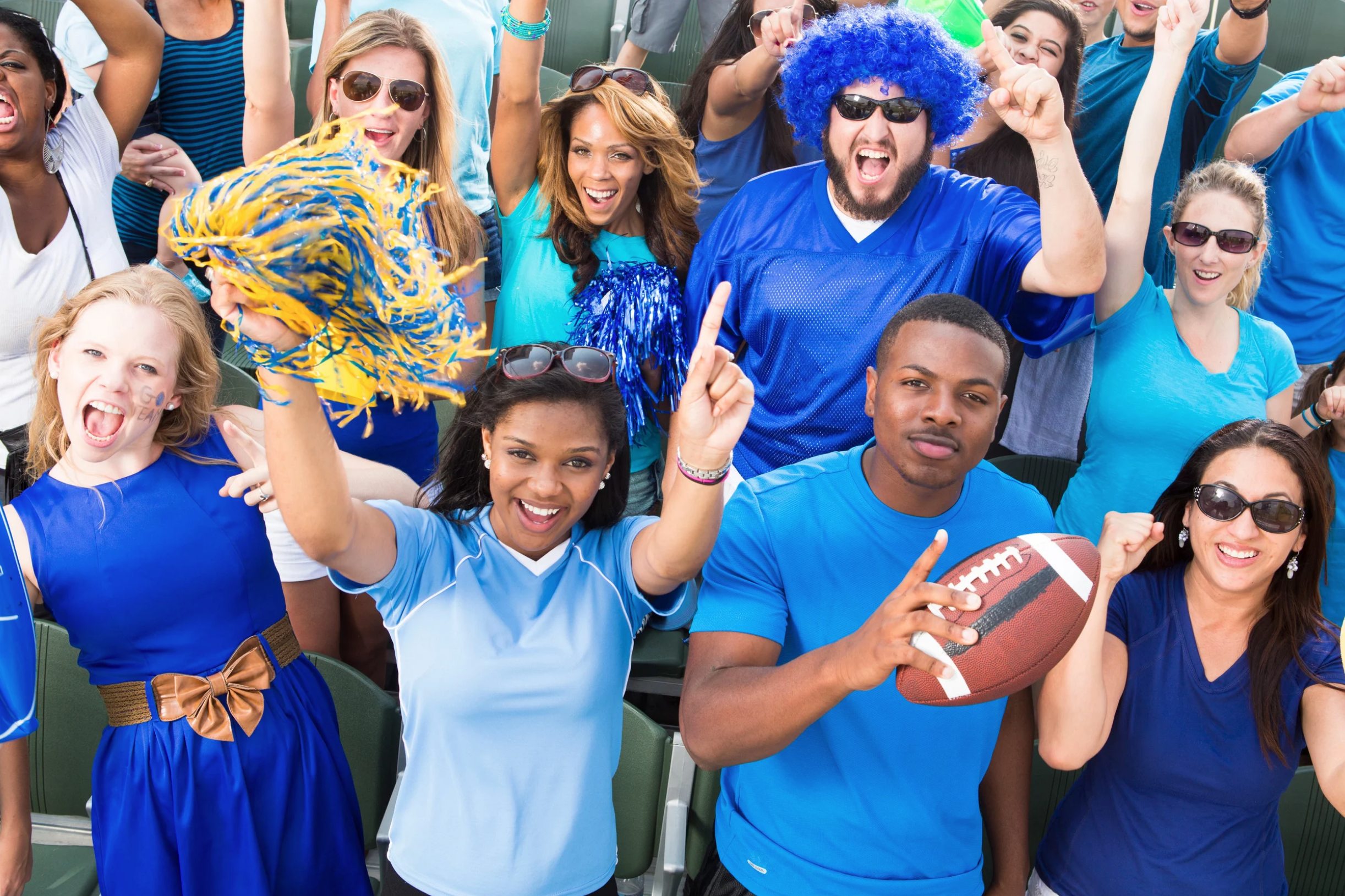 Detroit Lions Football Fans in Stadium