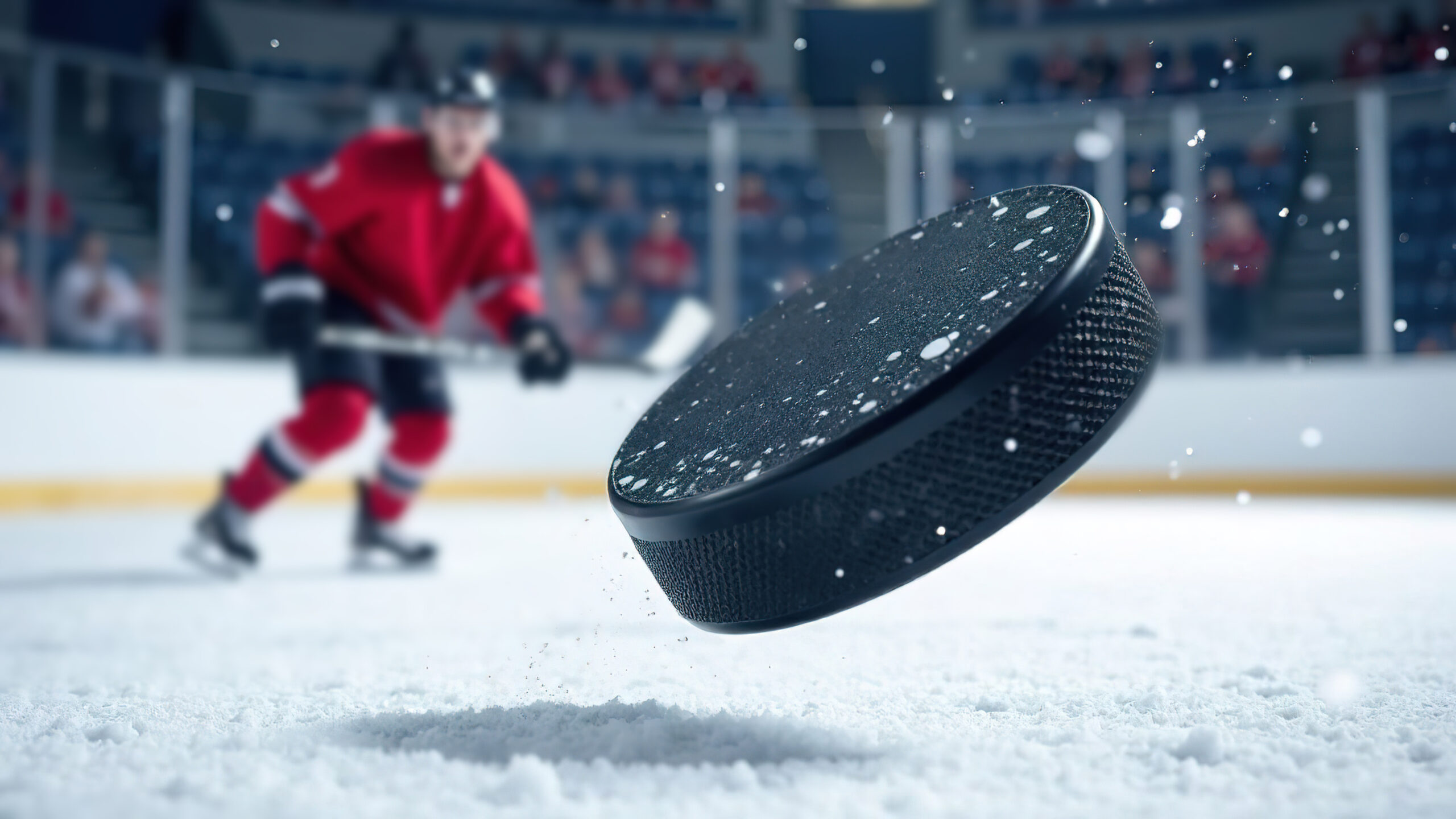 Detroit Red Wings Hockey is a favorite of Michiganders and Golden Limousine International is proud to provide safe, reliable, comfortable transportation for every game you attend.