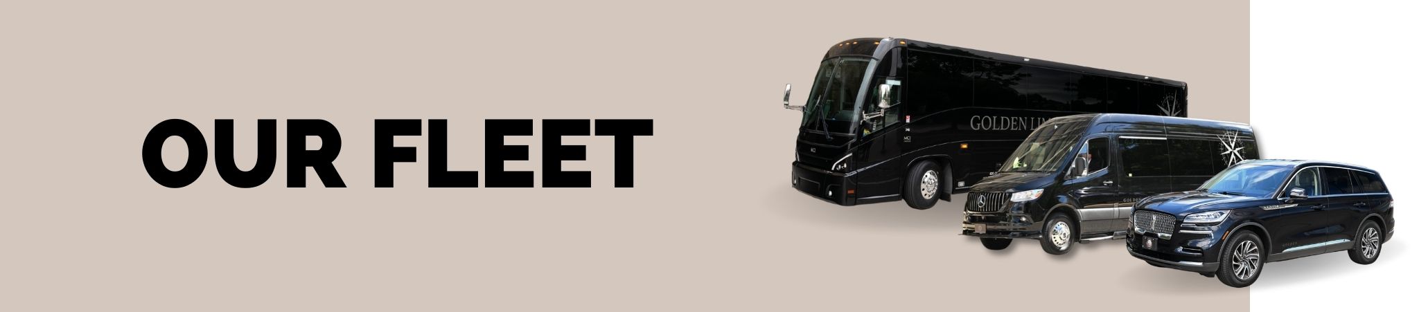 Golden Limousine International luxury fleet featuring a motor coach, Mercedes-Benz Sprinter van, and Lincoln Navigator SUV.